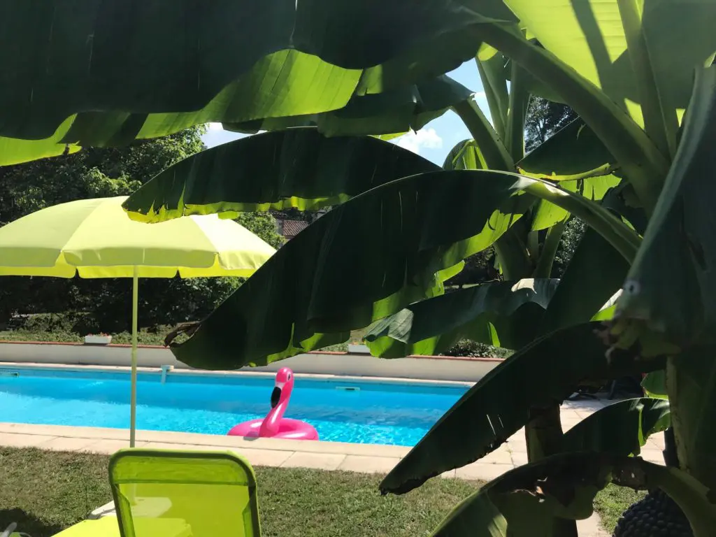 gîte ariège piscine